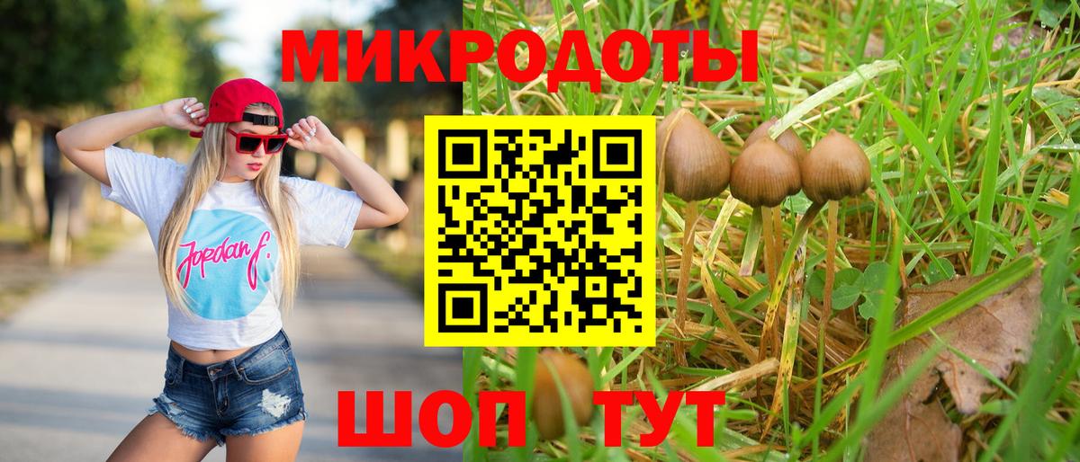 Галлюциногенные грибы мухоморы Калач-на-Дону