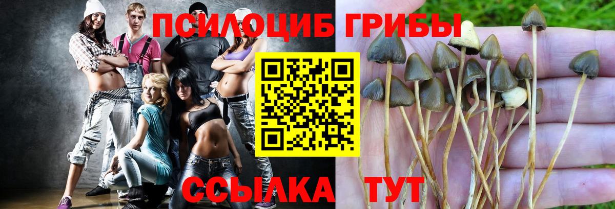 Калач-на-Дону  Псилоцибиновые грибы мицелий  Вход с VPN 